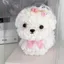 Hoa Bảo Quản Chó Con Maltese Ngày Lễ Tình Nhân Quà Tặng Sinh Nhật Cho Bạn Gái Lãng Mạn Lời Thú Tội Tốt Nghiệp Quà Tặng 0602