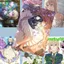 Violet Evergarden Nhật Bản Truyện Tranh Tạp Chí Bao Phòng Ngủ Dán Tường 6.10