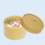 Đồ chơi Bun hấp DELMER, Bánh bao Mini có thể bóp được pha lê Squishy, Học sinh có máy hấp Fidget Đồ chơi cảm giác Pinch dễ thương Đồ chơi trẻ em