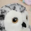 Thân Thiện Với Trẻ Em Thực Tế Cú Nhồi Bông Động Vật Cuddly Cú Thú Nhồi Bông Đồ Chơi Chất Liệu Cao Cấp Cho Trẻ Em