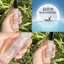 Nước Hoa Giá Trị Cao Nữ Sinh Viên Tươi Lấp Lánh Nước Hoa Di Động Giấc Mơ Máy Bán Hàng Tự Động Trái Cây Sữa Đào