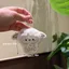 Móc khóa động vật sang trọng GUSTAVA, Thiết kế hoạt hình Mặt dây chuyền động vật sang trọng bằng vải mềm, Búp bê lông tơ phong cách Kawaii Búp bê đồ chơi sang trọng dành cho nữ Cô gái