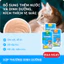 Súp Thưởng Cho Mèo MRVET Pate Súp Thưởng Giúp Mượt Lông Cho Mèo Từ 4 Tháng Tuổi
