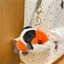 Koi Sang Trọng Móc Khóa Búp Bê Thú Nhồi Bông Cho Trẻ Em Quà Tặng Polyester Mềm