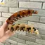 < YEI > Kẹp Tóc Chuối Mờ Lớn Cho Nữ Móng Vuốt Mờ Thời TrangPrint Phụ Kiện Tóc Cho Du Lịch Mới