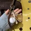 SRVN Mini Găng Tay Bóng Chày Gỗ Bát Móc Khóa Túi Nữ Phụ Kiện Xe Thể Thao Móc Chìa Khóa Vòng Chìa Khóa Quà Tặng Cho Nam Nữ.