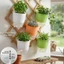 Chậu hoa tưới nước tự động treo tường - Chậu tưới nước tại nhà - Hộp đựng thực vật hai lớp - Chậu hoa thủy canh - dành cho ban công, tường sân vườn / tàu miễn phí