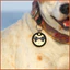 Pet Dog Circle Black Cover 15 chiếc erkenai