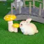 HFTOY Mô Phỏng Mini Thỏ Tượng Thỏ Xe Để Bàn Trang Trí Micro Phong Cảnh Trang Trí Nhà Búp Bê Đồ Chơi Thu Nhỏ ~