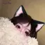 AqToCna Hoạt Hình Sang Trọng Tai Mèo Cho Nữ Cô Gái Cosplay Tóc Ngộ nghĩnh Dễ Thương Gothic Tóc Vòng Sáng Tạo Phụ Kiện Tóc Quà Tặng AqToCna