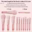 Bộ cọ trang điểm 10 mảnh Peach Pink: Bàn chải che khuyết điểm, Bàn chải phấn mắt, Bàn chải bột