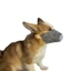 Mặt nạ thú cưng chống sốc Chất liệu 4 lớp Bảo vệ chó Muzzle Đi chơi Đồ dùng cho thú cưng Mặt nạ chó chống PM2.526060513