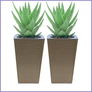 Chậu trồng cây tự tưới trong nhà 2 miếng Chậu trồng cây xương rồng Hộp đựng cây cao cho du khách gia đình Căn hộ mueadsyvn