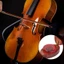 WANYEDI Violin Viola Cello, Nhạc cụ dây hình bầu dục màu gỗ, Khối chuyên nghiệp và gỗ chuyên nghiệp cho violin Viola Cello