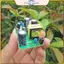 Bộ chuyển đổi bảng cấp nguồn AC-DC 100-240V sang 12V 1A Mô-đun cấp nguồn chuyển mạch cách ly.