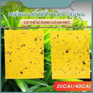 Bẫy ruồi vàng, bẫy màu côn trùng 2 mặt - Hiệu quả với nhiều loài gây hại cho vườn lan, rau hoa màu và cây ăn trái-SUNND