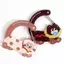 ECK 1 Cái Hoạt Hình Mèo Carabiner Acrylic Hình Túi Móc Khóa Động Vật Dễ Thương Bapa Quyến Rũ Bé Gái Thẩm Mỹ Leo Móc Phụ Kiện HOT