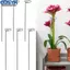 <cosyh>Plant Stakes Lily Peony Rose Flower Stem Stem Plant Support Easy To Use