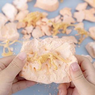 Any2Get5% Giảm Giá Khủng Long Hóa Thạch Đào Bộ Dụng Cụ Khai quật STEM Đồ Chơi 3D Dino Skeleton Hội Hóa thạch Khám Phá Quà Tặng Giáo Dục Cho Trẻ Em