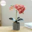 Houdou Lụa Bướm Phong Lan Hoa Nhân Tạo Cây Cảnh Phong Lan Phalaenopsis Chậu Hoa Nhà Trang Trí Đám Cưới Sắp Xếp Cây Giả VN