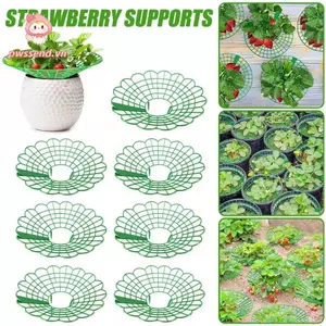 PWSSEND 1 / 3 Giá đỡ khay đựng thực vật, Giá đỡ dâu tròn chống ăn mòn, với ba chân chắc chắn Hỗ trợ nôi dâu tây chống đất