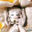PS1 Frieren: Beyond Journey 's End Fern Frideren Plushie Anime Merch Túi búp bê Cotton sang trọng dễ thương Charm SP1