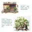 Jin Shen Bút mực chống thấm nước Bút nhúng Bàn chải màu sắc truyện tranh Màu nước cao cấp Mực màu khô nhanh