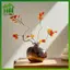 SWEET Hình dạng độc đáo Bình thủy tinh lựu trong suốt Bình hoa thủy canh trang trí màu đỏ Bình thủy canh Bình thủy tinh treo tay Trang trí đám cưới n