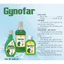 Dung Dịch Vệ Sinh Phụ Nữ Gynofar - Nước Rửa Phụ Khoa, Phòng Nấm, Ngứa, Mụn Nhọt, Rôm Sảy