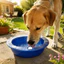 FUHUIOT Pet Ice Bowl, Làm Mát Xuống Giảm Nhiệt Cho Chó Bát Làm Mát, Uống Nước Đá Giữ Lạnh Lâu Dài Phun Nước Cho Thú Cưng Bát Uống Thời Tiết Nóng