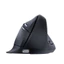 Chuột dọc tiện dụng có thể sạc lại Bluetooth không dây Chế độ kép Chuột chế độ kép im lặng