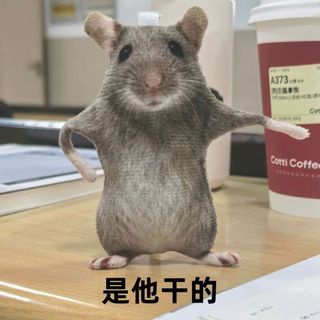 Móc Treo Chuột Khô Giả Lập Naha – Thú Bông Hài Hước Có Khung Xương Tạo Dáng, Treo Balo Túi Xách, Đồ Chơi Troll Bạn Bè