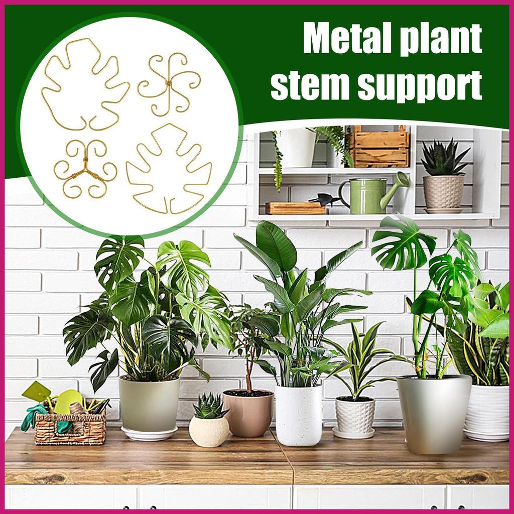 Monstera Hỗ Trợ 4 Miếng Kim Loại Hoa Cổ Phần Hình Monstera Hỗ Trợ Cây Cho Nhà Kính Sân Sau Bãi Cỏ shopidaevn