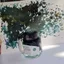 Bột vàng ngọc trai màu thơ 30ml Chai lớn nhuộm mực Thẻ vẽ tranh Retro Màu nước mực 5ml Bút thủy tinh Sắc tố