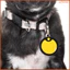 Pet Dog Circle Black Cover 15 chiếc erkenai
