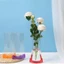 DONOVANQQ 5 Bình hoa PVC trong suốt, Bình hoa thủy canh có thể gập lại gấp, Bình hoa chống rò rỉ nhẹ Phòng cắm hoa chống rò rỉ chống rò rỉ