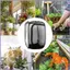 Lồng lưới môi trường sống bướm 40x40x60cm Lều ươm cây có thể gập lại có dây kéo Lưới mờ bướm mueadsyvn