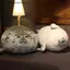 MỚI Tức Giận Blob Seal Gối Mũm mĩm 3D Mới Lạ Biển Sư Tử Búp Bê Sang Trọng Đồ Chơi Nhồi Bông Cho Bé Ngủ Ném Gối Quà Tặng Cho Trẻ Em Bé Gái SKY