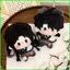 PS1 WHERE WINDS MEET Young Master Plushie Anime Nhân Vật Trò Chơi Dễ Thương Sang Trọng Túi Búp Bê Charm SP1