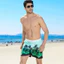 2026 Mới Họa Tiết Cây Dừa 3D In Hình Nam Mùa Hè Phong Cách Hawaii Quần Short Đi Biển Nhanh Khô