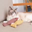 Plus Sang Trọng Mô Phỏng Cá Thú Cưng Mèo Đồ Chơi Catnip trêu chọc Mèo Răng Hàm Mèo Cung Cấp Đồ Chơi Cá Giả RS09