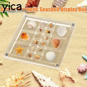 Hộp lưu trữ vỏ sò YICA, Hộp trưng bày vỏ sò từ tính Mini bằng nhựa, Bộ sưu tập vỏ sò dung lượng lớn trong suốt