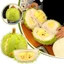 Đồ chơi sang trọng sầu riêng có thể tháo rời dễ thương mới với bột trái cây cười có thể tháo rời — Búp bê trái cây nhồi bông mềm