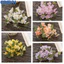<cosyh>Artificial Flowers Balanced Visual Presentation Cloth Material Elegant Style
