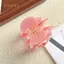 PNPIA- Sweet Camellia Rose Acetate Vuốt Tóc Dòng Hoa Vuốt Kẹp INS Hợp Thời Trang Kẹp Tóc Cho Nữ Bé Gái Phụ Kiện Tóc
