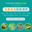 Túi bảo vệ dâu tây chống côn trùng chống chim thấm thoáng khí Túi gạc chống côn trùng nho F