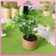 MYPANDA 1: 12 Nhà búp bê Cây cam thu nhỏ trong chậu cây xanh Đồ chơi trang trí nội thất sân vườn tại nhà.