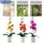 <cosyh>Artificial Phalaenopsis Orchid Long-Lasting Elegant Home Decor For Desk