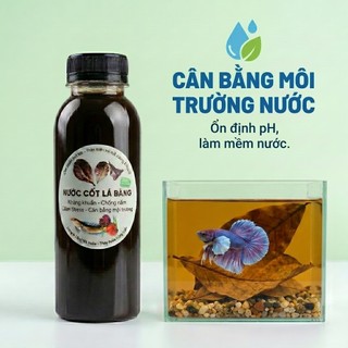 Nước Cốt Lá Bàng Đậm Đặc Gấp 3 Lần Lọc Lưới Nano Siêu Trong Dưỡng Cá Giảm Stress