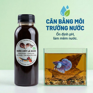 Nước Cốt Lá Bàng Đậm Đặc - Lọc Nano Siêu Trong - Dưỡng Cá Betta, Cá Lóc, Giảm Stress